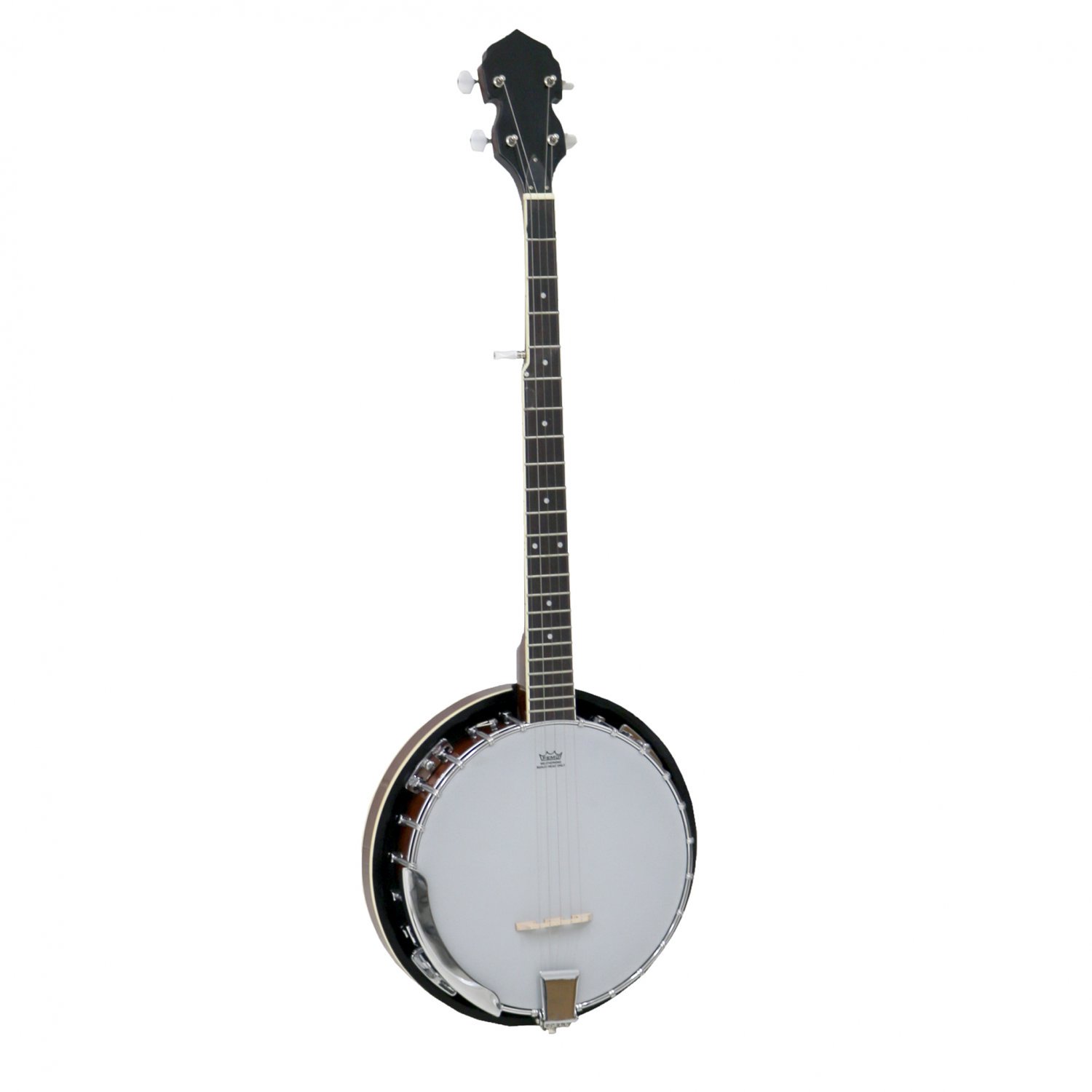 5 String Bluegrass Banjo with Remo Skin