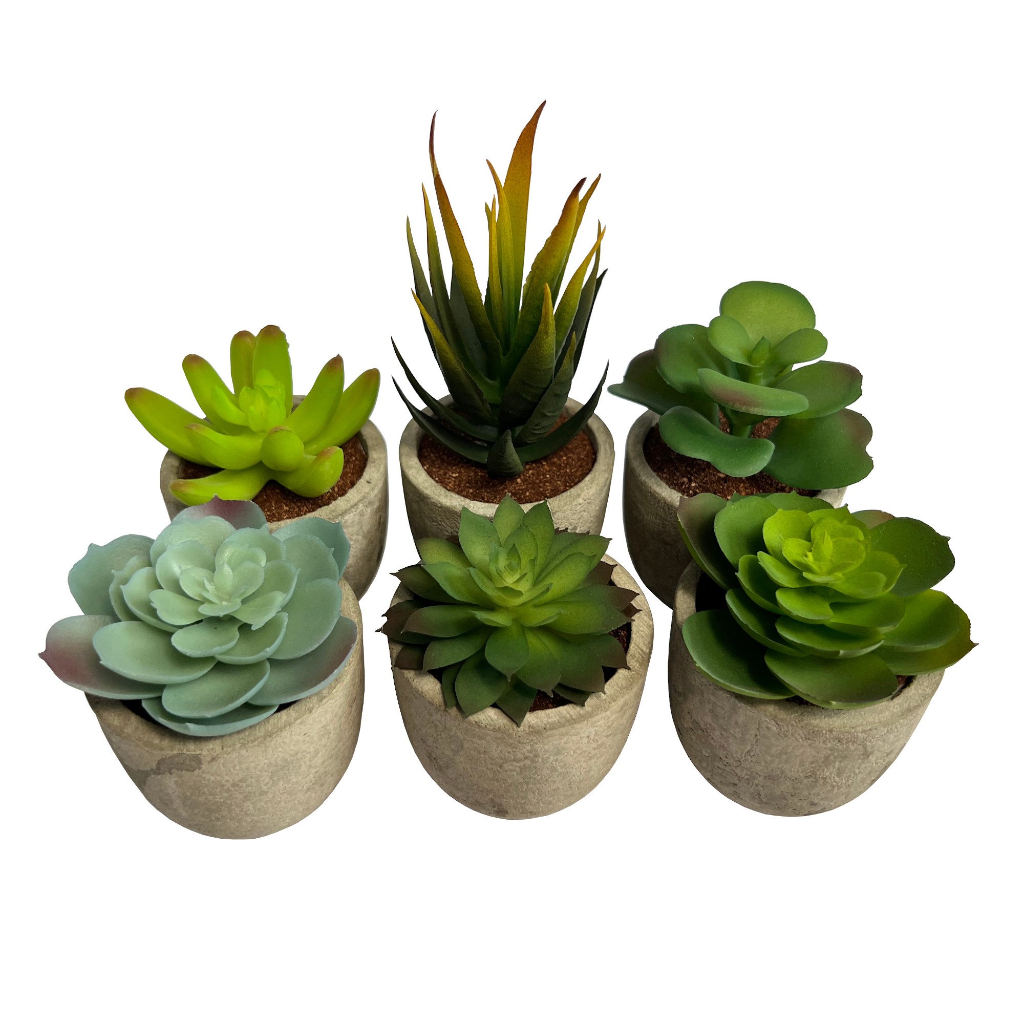 Set of 6 Artificial Succulent Mini Cactus Grass Plants Indoor Decoration